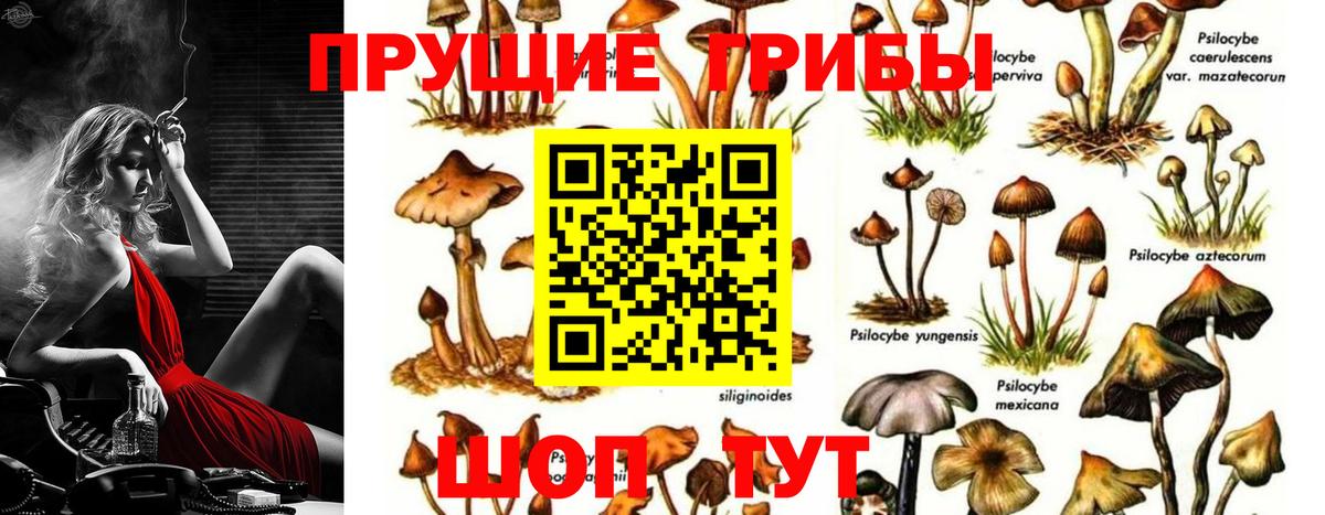 Севастополь  Псилоцибиновые грибы мухоморы  Вход с VPN 