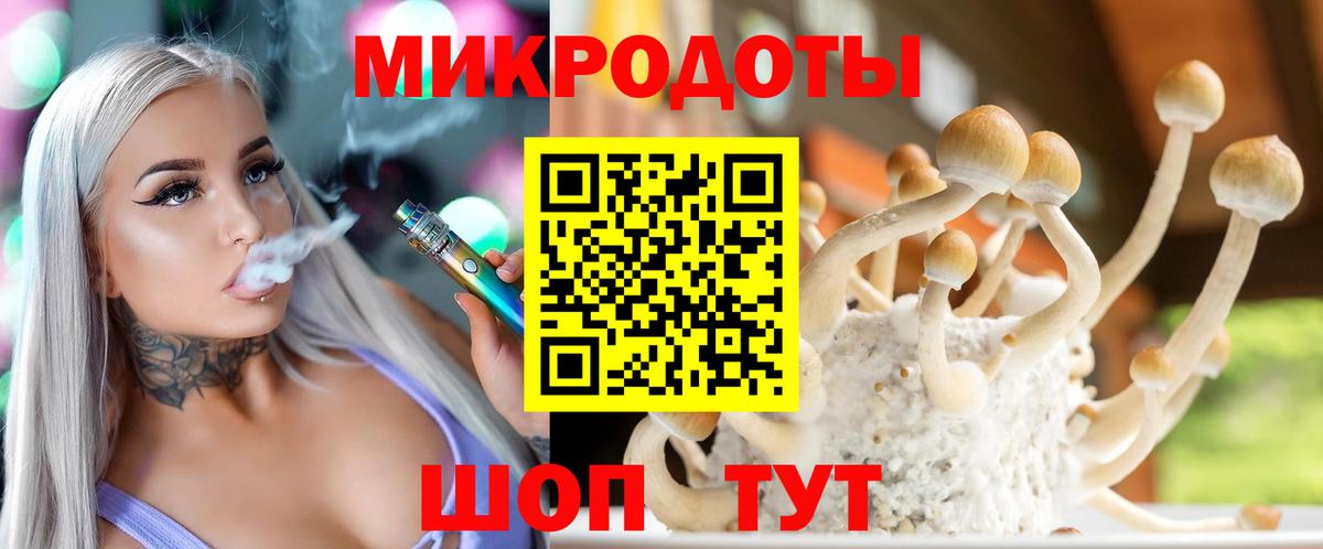 Псилоцибиновые грибы мицелий Севастополь